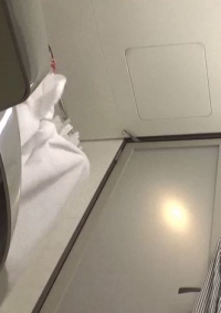 (2)[オマンコくっぱぁ～アナルひくひく]〈元キャンギャル美女〉パンティくい込み FC2PPV-4529424(v)